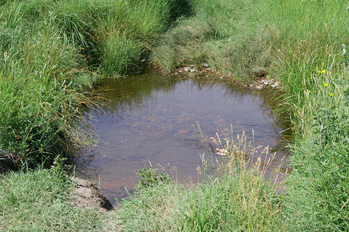 Sucker Creek crossing