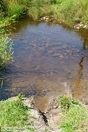 Creek damage